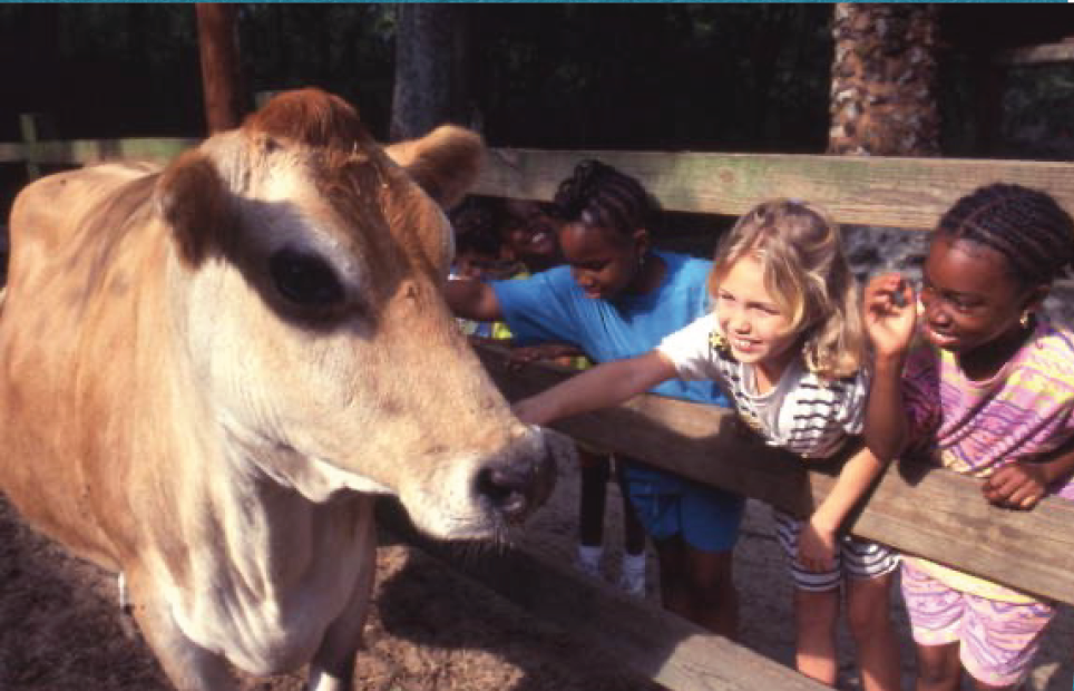 Donate Tallahassee Museum