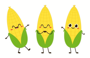 Home School Program K-5: Crazy about Maize