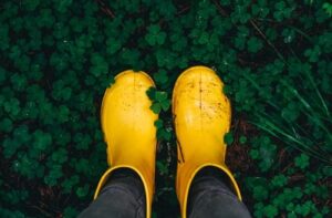 Home School Program K-5: The Ground Beneath Your Feet – AFTERNOON