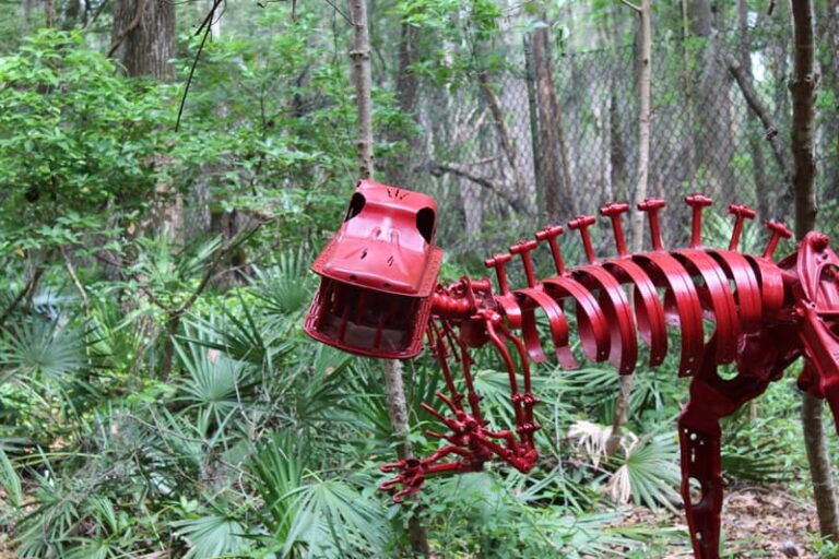 Home - Tallahassee Museum