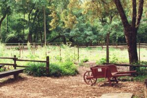 Home School Program K-5: Farming: Past and Present