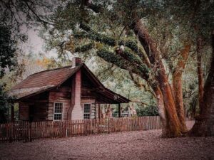 Our Big Bend Farm will teach you tons about old Florida history! See how Floridians lived in the 1880s.????: @josiah_rain#TallahasseeMuseum #TallahasseeFl #iHeartTally #ExploreFL #LoveFL #Museum #LiveMuseum #FamilyVacation