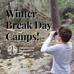 The Tallahassee Museum will be holding Winter Break Day Camps on December 21-December 23, December 28-30th, and January 4th! From making winter crafts to spending the day trekking through the Museum and ziplining, your campers won’t want to miss these fun-filled days! ???? Campers can register for an individual day or the whole week. 

More info here: https://tallymuseum.wpengine.com/education/for-children/school-break-camps/

#TallahasseeMuseum #TallahasseeFl #iHeartTally #ExploreFL #LoveFL #Museum #LiveMuseum #TallahasseeCamp #WinterBreakCamp #Fun4KidsTally