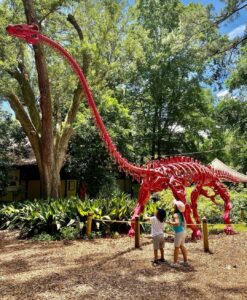 Jim Gary's amazing 20th Century Dinosaurs Trail will captivate visitors young and old! 21 exhibit pieces are featured at the Museum with some spanning as much as 43 feet in length and weighing up to 4,000 pounds!📸: @lovee_ava91#TallahasseeMuseum #TallahasseeFl #iHeartTally #ExploreFL #LoveFL #Museum #LiveMuseum #JimGary #JimGarysDinosaurs #Dinosaurs