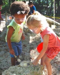 We are delighted to announce that the Tallahassee Museum Preschool is currently enrolling for the 2021-2022 School Year! Our preschool program is for 3-5 year olds beginning on August 11th and we hope your little one might join us. We offer a Monday-Friday full day class, a Monday-Friday morning class, and a qualified voluntary pre-kindergarten class within the full day program. The whole Museum is our classroom and families accepted into our preschool program will receive benefits like a Friends and Family membership to the Museum! Learn more at the link in bio.