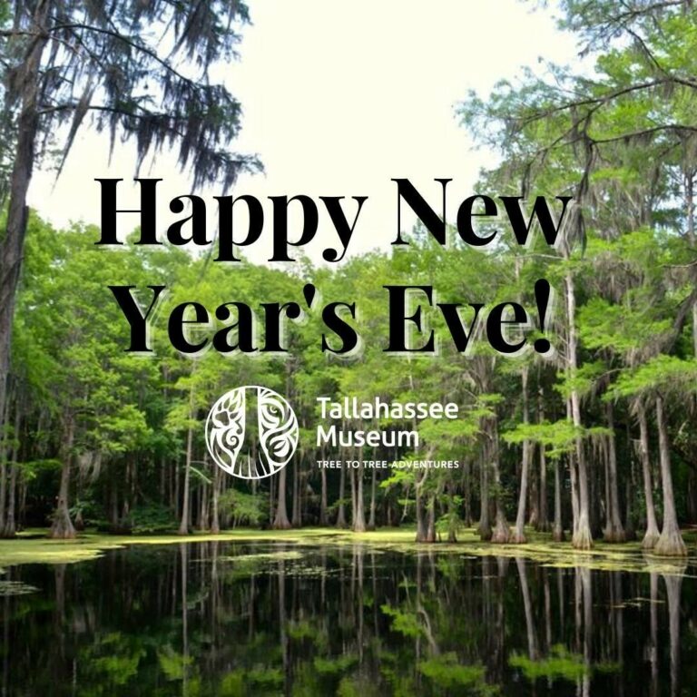 Happy New Year’s Eve from the Tallahassee Museum! We’re so excited to bring in the new year and see what…