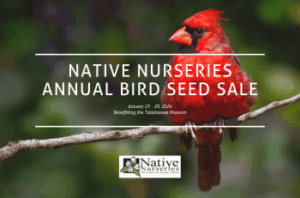 Native Nurseries Birdseed Benefit