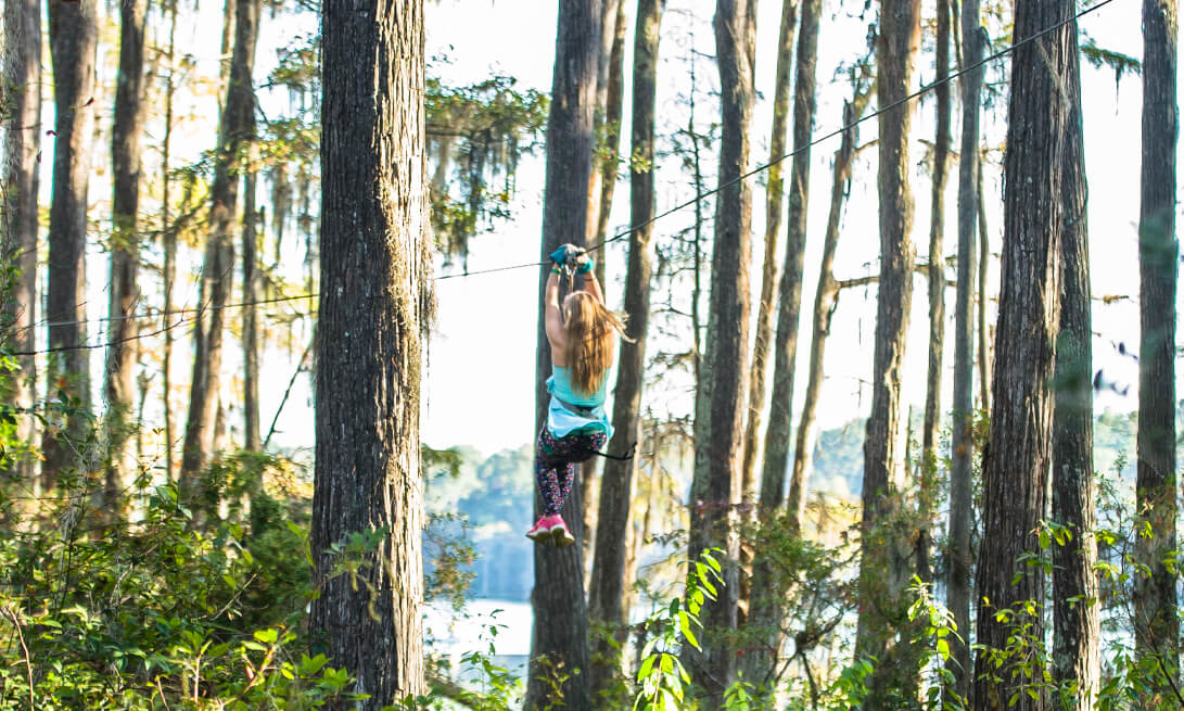 Tree-To-Tree Adventures