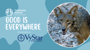 Free Admission Day, sponsored by VyStar
