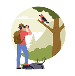 Fall Birding Walk